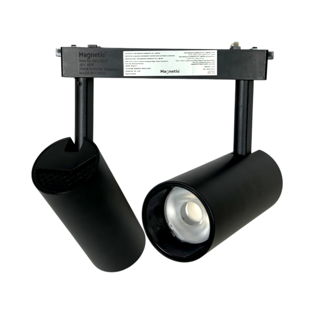 Ultra Slim Smart Magnetic Track Double Spotlight  20W*20W