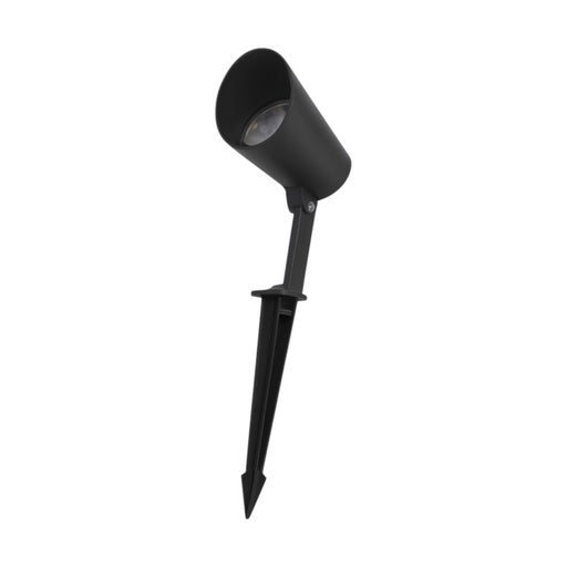 Outdoor garden spike Black with Cap 3000K IP65 12W