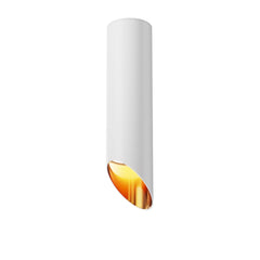 Ceiling light ULT MR16, 250mm, white/gold